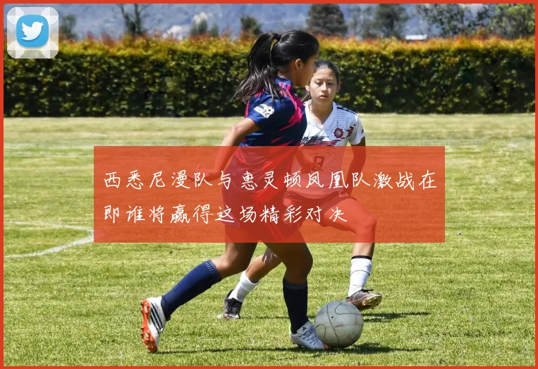 西悉尼漫队与惠灵顿凤凰队激战在即谁将赢得这场精彩对决