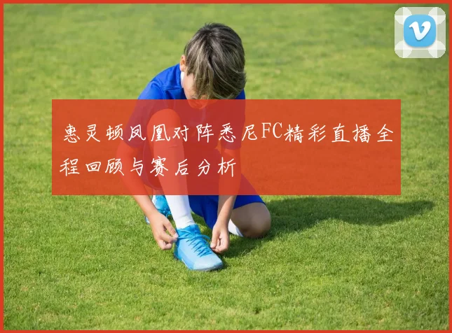 惠灵顿凤凰对阵悉尼FC精彩直播全程回顾与赛后分析