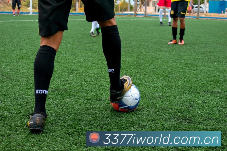 App Interface Preview