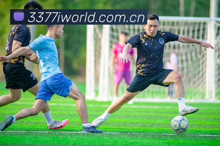 3377体育APP 封面图